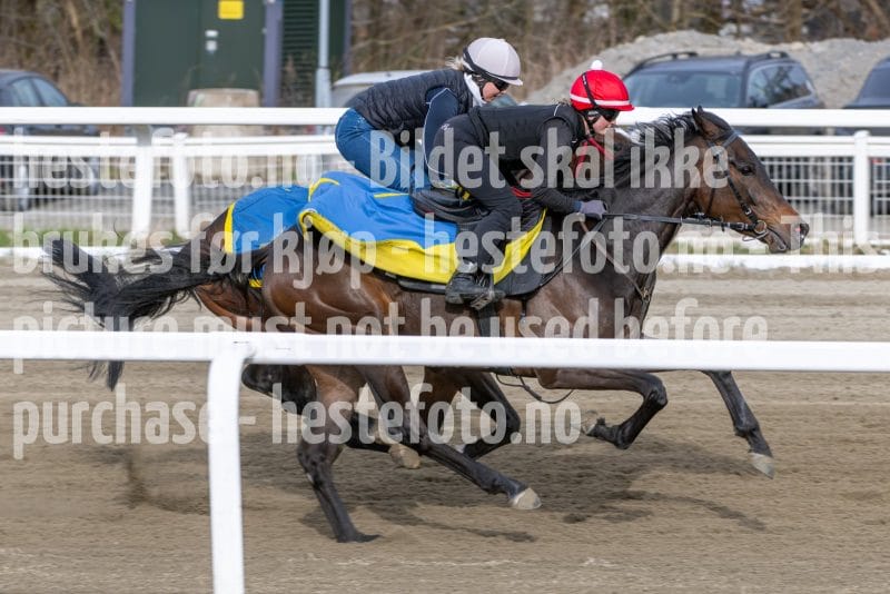 20260418-091950-DSC_4800