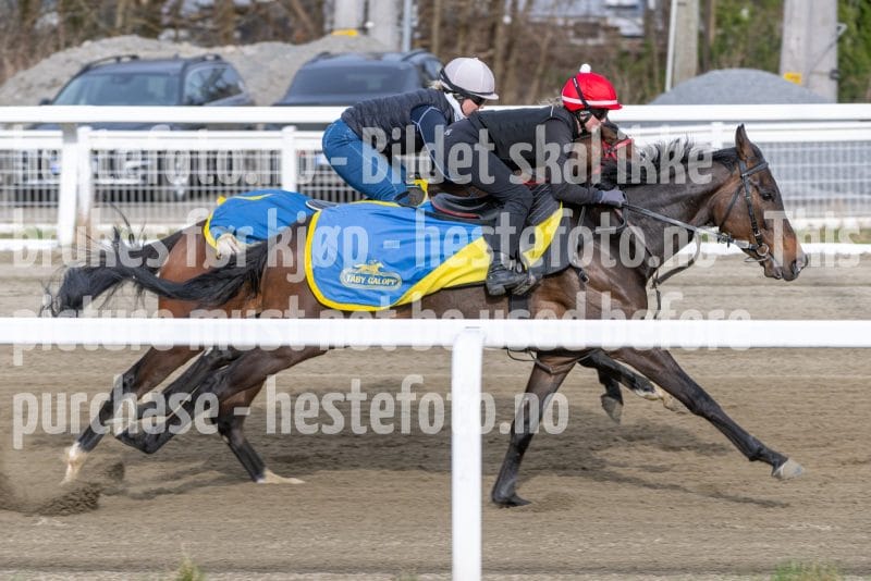 20260418-091950-DSC_4803