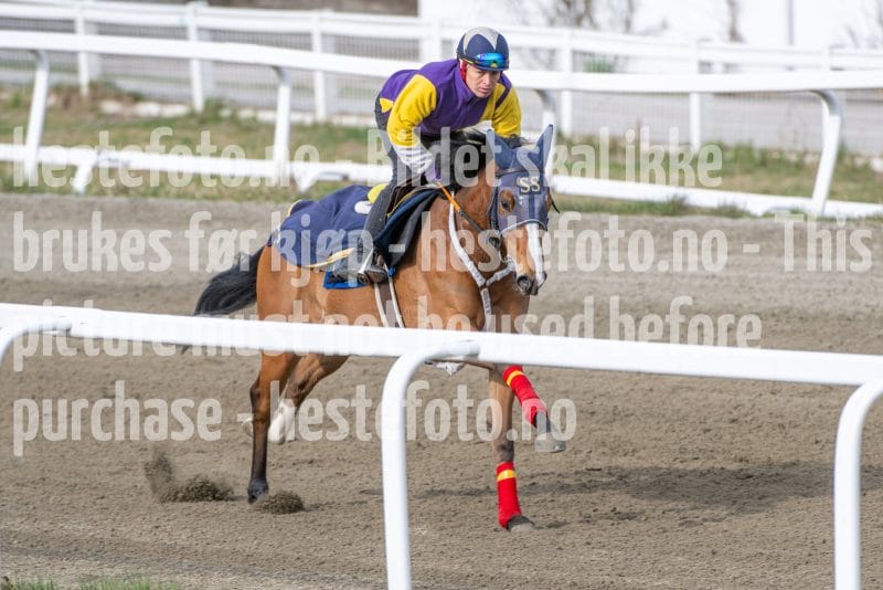 20260418-092007-DSC_4873