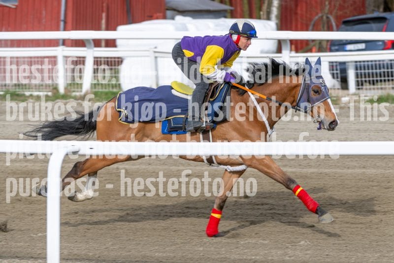 20260418-092009-DSC_4899