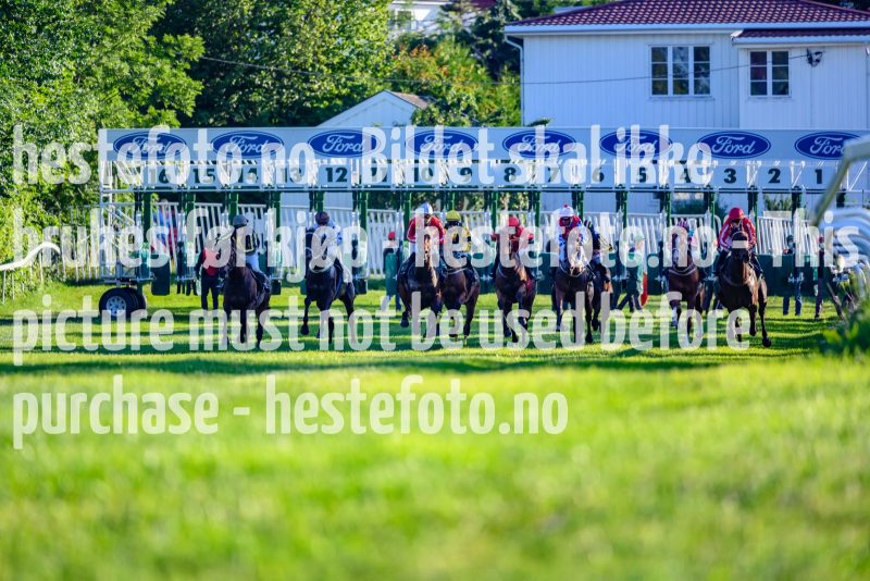 20210805-190942-DSC7147