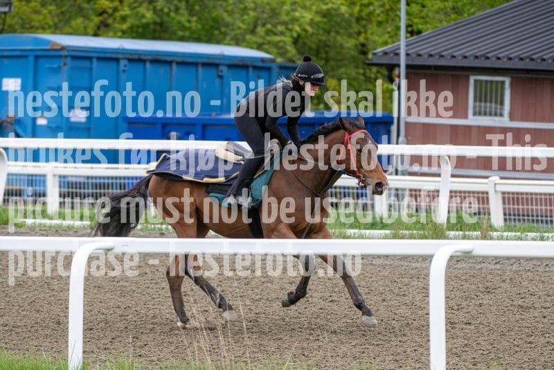 20260516-104139-DSC_5617