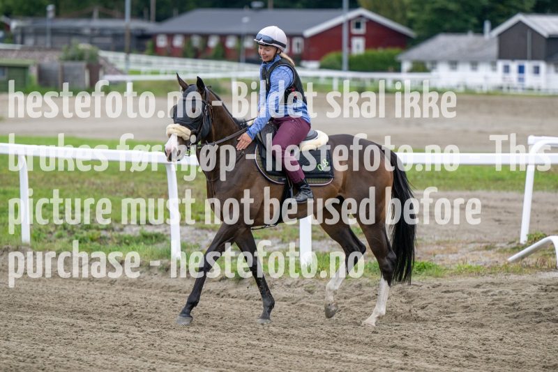 20220911-105319-DSC_8530