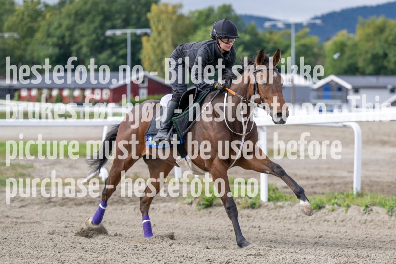 20220911-121002-DSC_8667