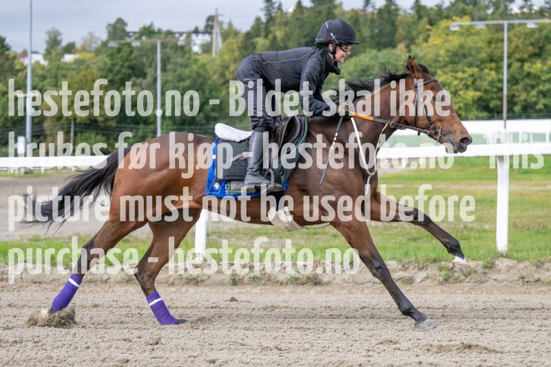 20220911-121003-DSC_8682