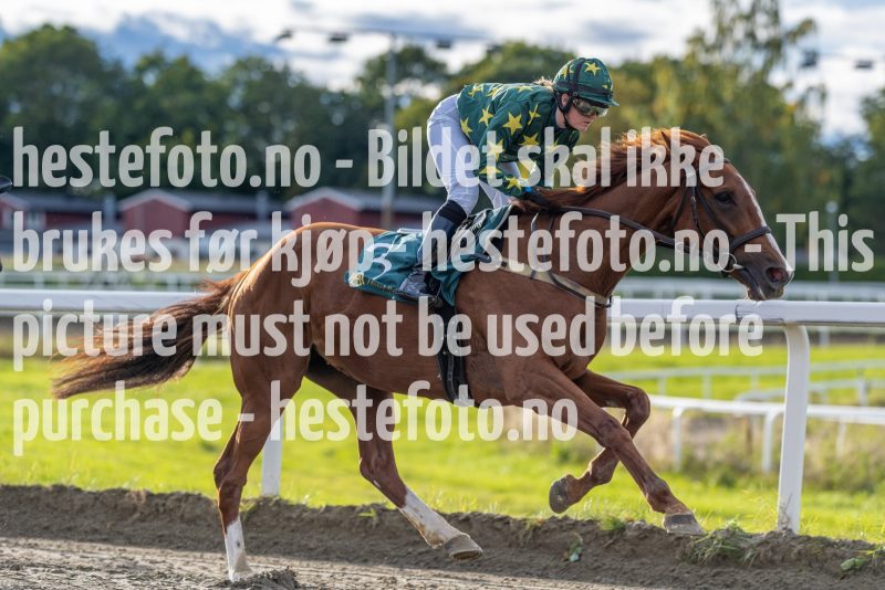 20220915-172651-DSC4014