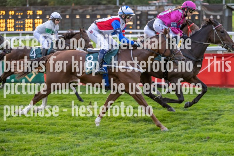 20220915-190722-DSC_1311