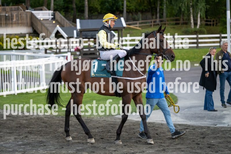 20220915-192917-DSC_2236