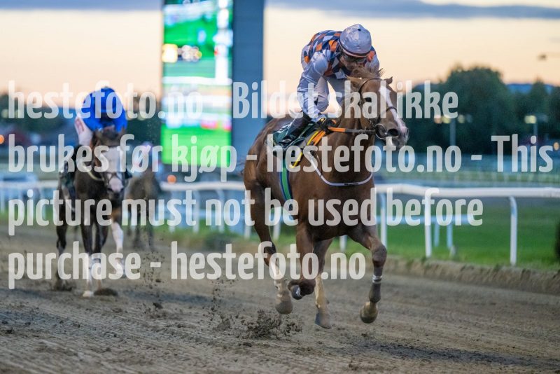 20220915-193748-DSC_2426