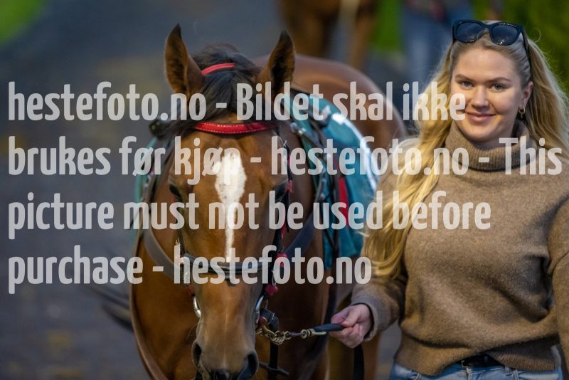 20220915-194511-DSC_2639