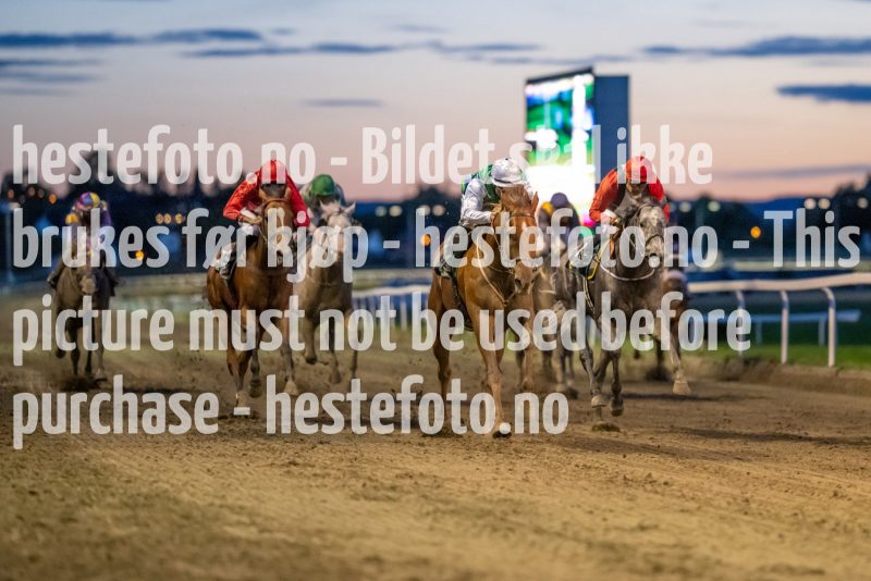 20220915-200326-DSC_2926