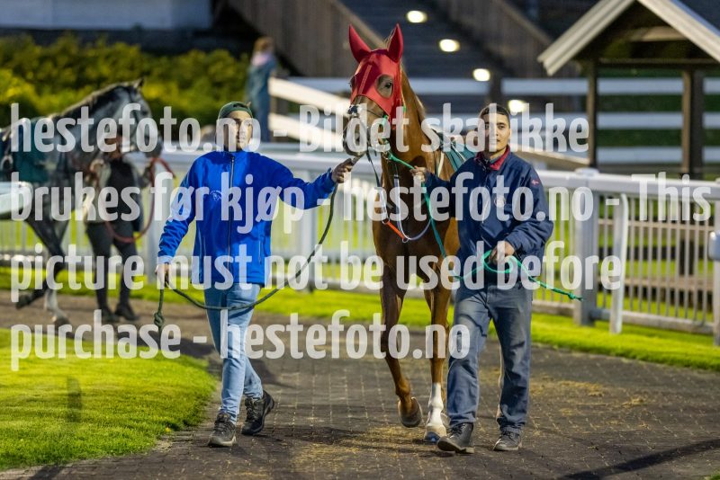 20220915-201301-DSC_3193