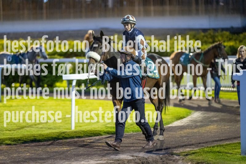 20220915-201342-DSC_3251
