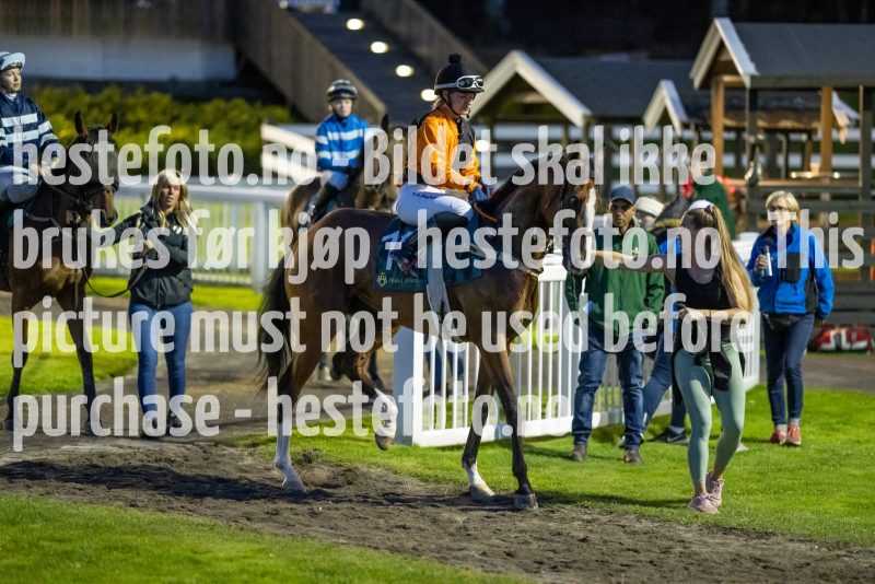 20220915-201448-DSC_3349