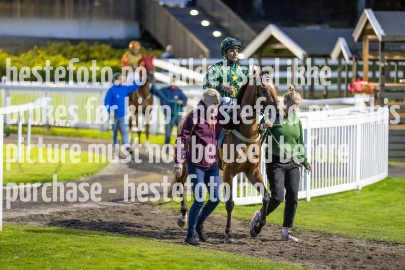 20220915-201623-DSC_3455