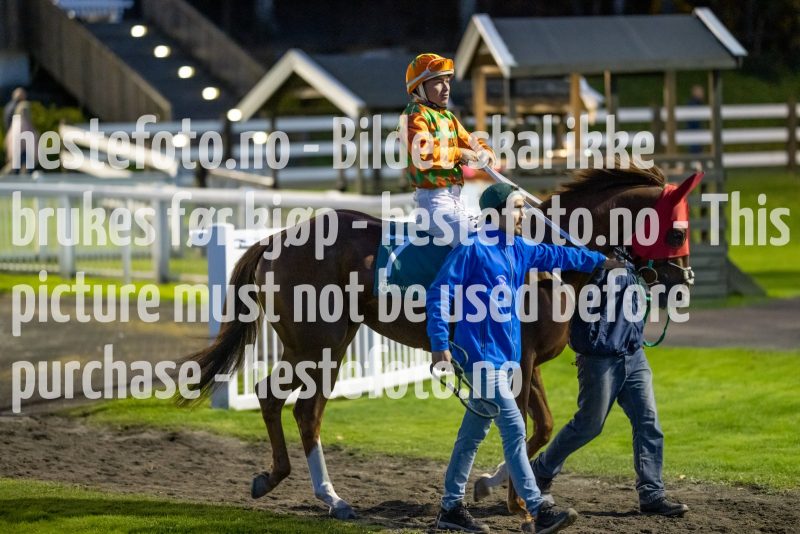 20220915-201633-DSC_3474