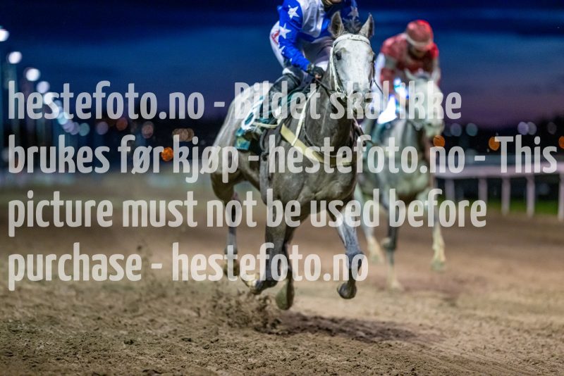 20220915-202423-DSC_3559