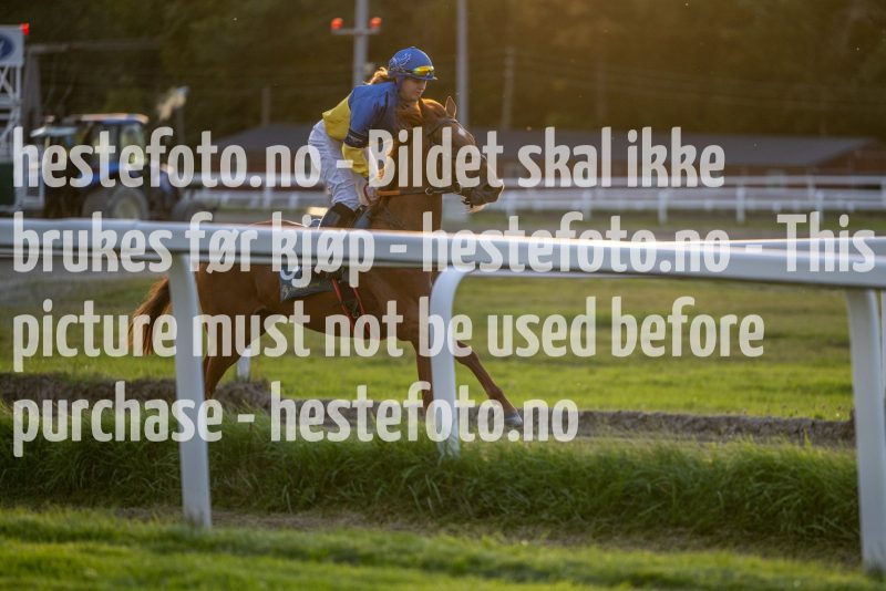 20220915-190203-DSC_1165