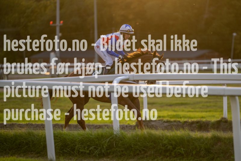 20220915-190210-DSC_1195