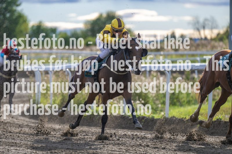 20220915-172743-DSC_8929