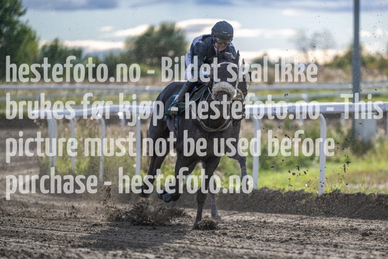 20220915-172744-DSC_8939