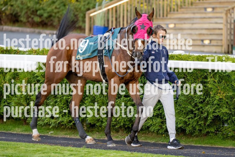20220915-183020-DSC_0212