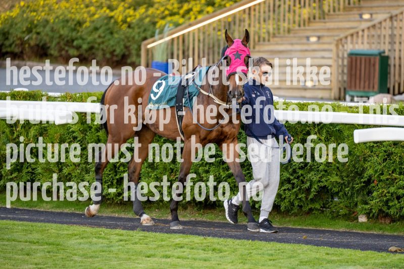 20220915-183020-DSC_0215