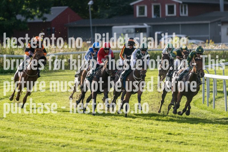 20220915-175313-DSC_9058