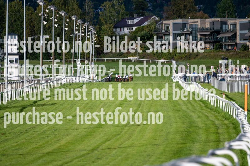 20220915-175340-DSC_9142
