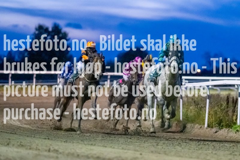 20221006-190849-DSC_4347
