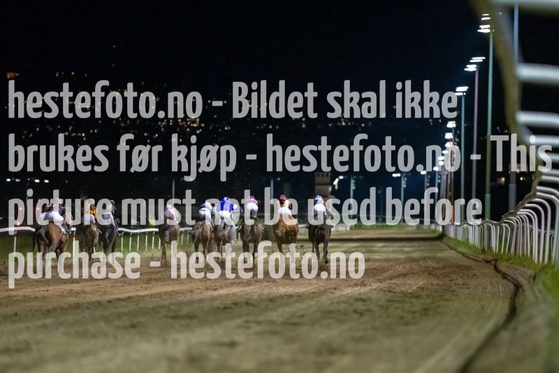 20221006-202459-DSC_4995