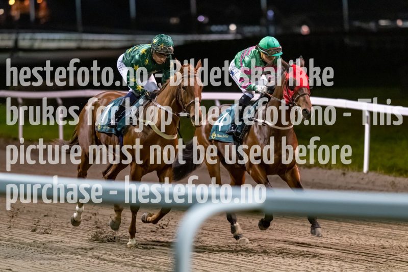 20221110-191226-DSC_7344