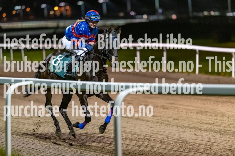 20221110-191200-DSC_7310