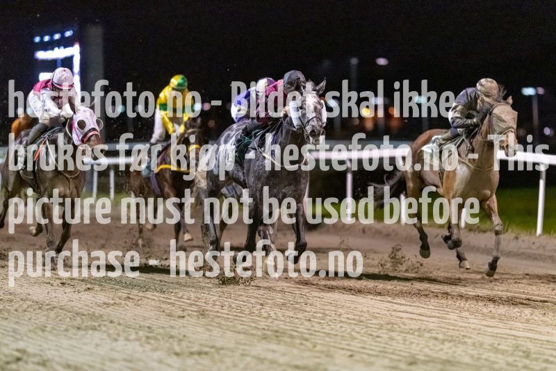 20221110-212334-DSC_9435