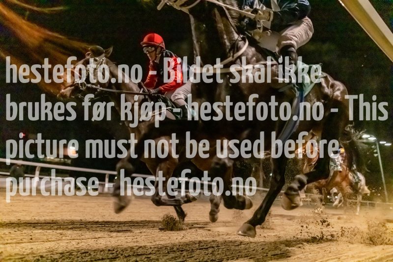 20221117-212334-DSC9595