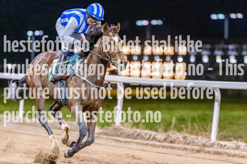 20221117-185609-DSC_0235