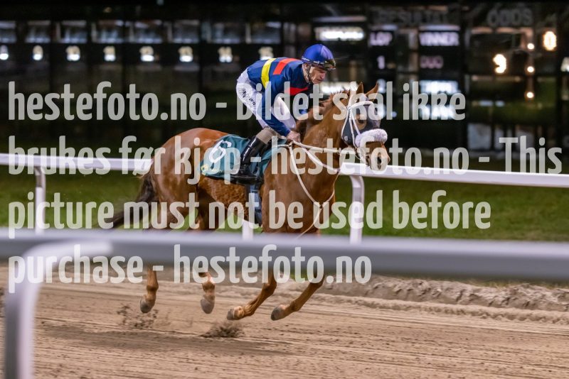 20221117-191415-DSC_0440