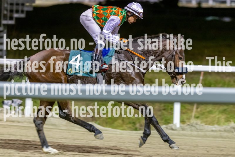 20221117-191345-DSC_0431