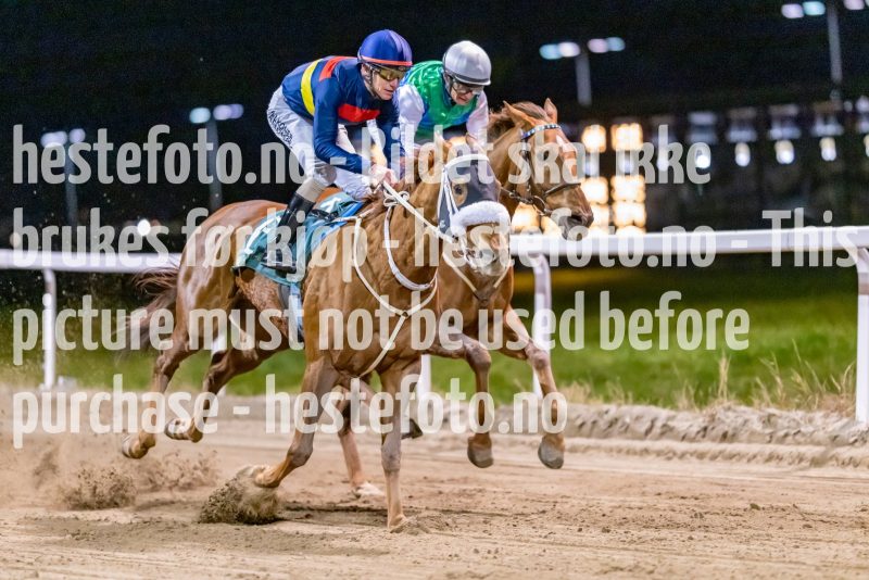 20221117-192023-DSC_0586