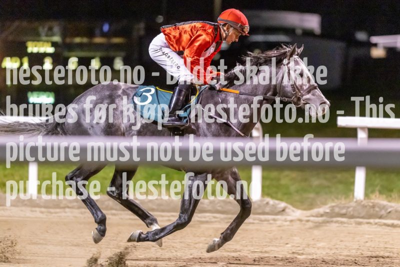 20221117-193556-DSC_0647