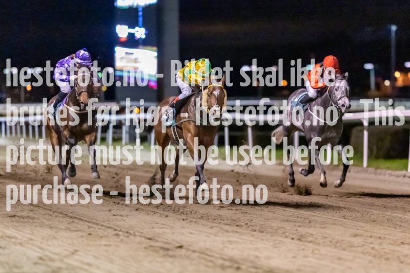 20221117-194157-DSC_0792