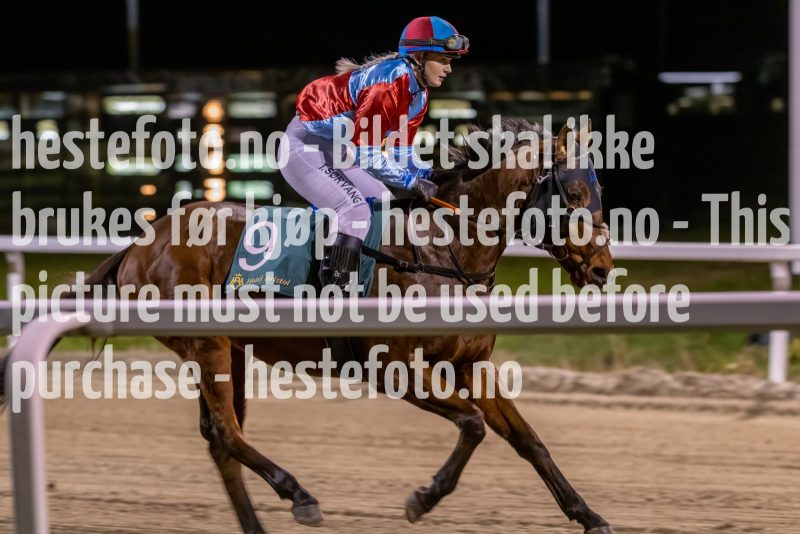 20221117-195951-DSC_1025