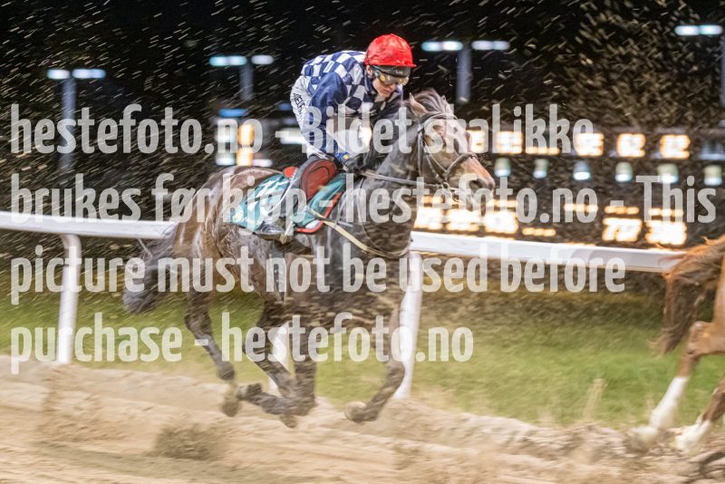 20221117-212252-DSC_2100
