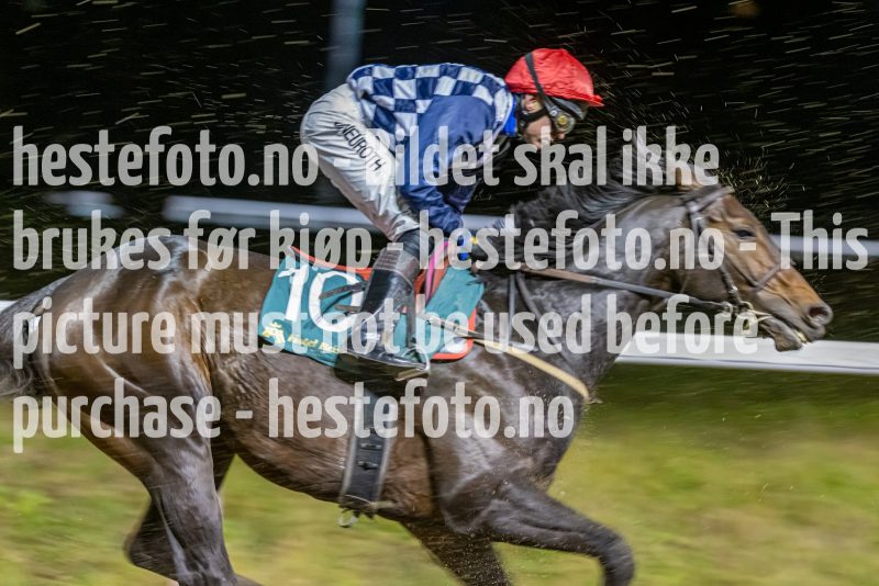 20221117-212253-DSC_2110