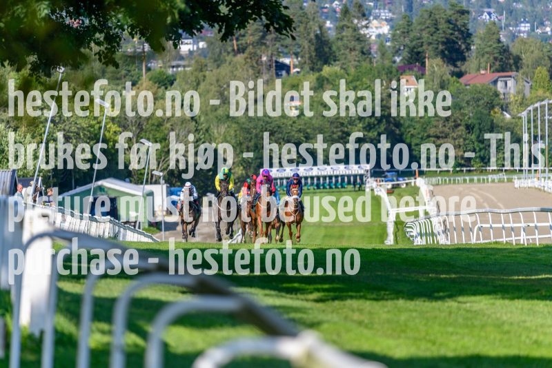 20210822-164605-DSC9838