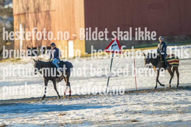 20230218-102002-DSC_8370