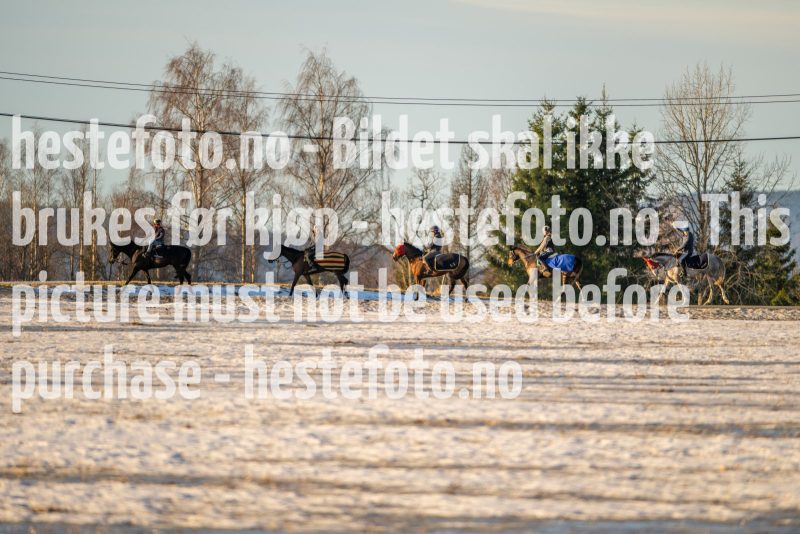20230218-101820-DSC_8206