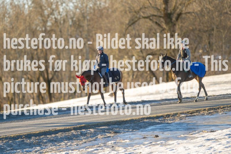 20230218-102024-DSC_8415