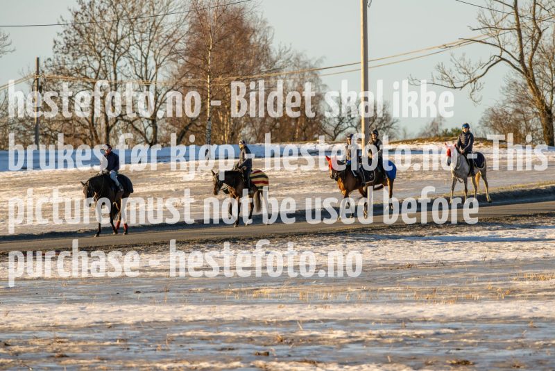 20230218-101931-DSC_8306