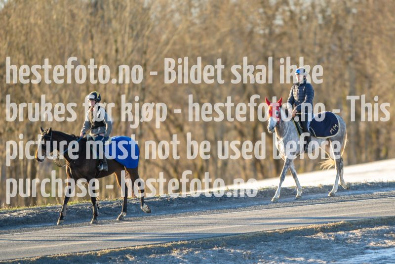 20230218-102031-DSC_8441